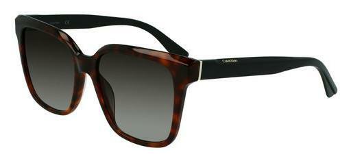 Lunettes de soleil Calvin Klein CK21530S 220