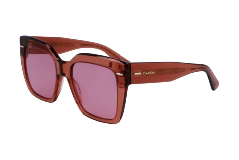 Ophthalmic Glasses Calvin Klein CK23508S N 200