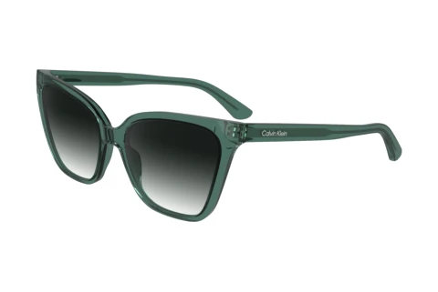 Ophthalmic Glasses Calvin Klein CK24507S N 338