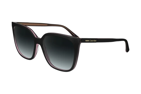 Ophthalmic Glasses Calvin Klein CK24509S N 012