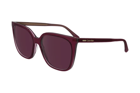 Ophthalmic Glasses Calvin Klein CK24509S N 613