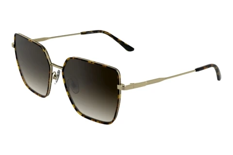 Ophthalmic Glasses Calvin Klein CK25111S 240