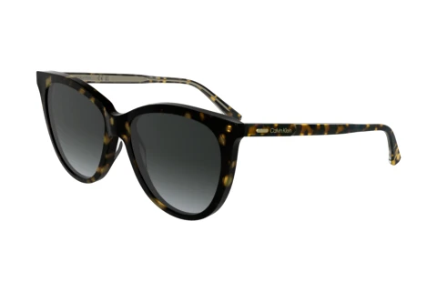 Ophthalmic Glasses Calvin Klein CK25508S N 240