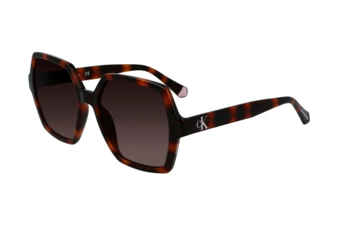 Ophthalmic Glasses Calvin Klein CKJ21629S N 240