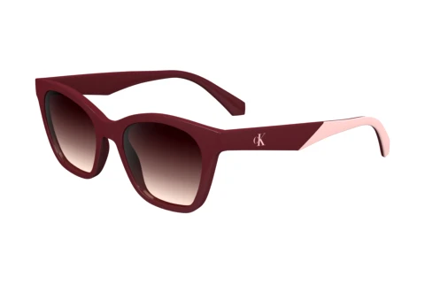 Ophthalmic Glasses Calvin Klein CKJ24303S N 605