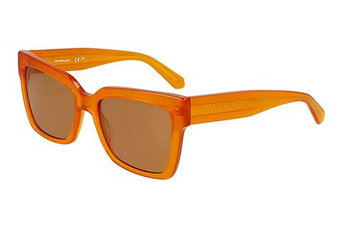 Lunettes de soleil Calvin Klein CKJ24606S 201