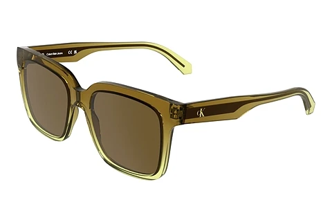 Ophthalmic Glasses Calvin Klein CKJ25624S 210