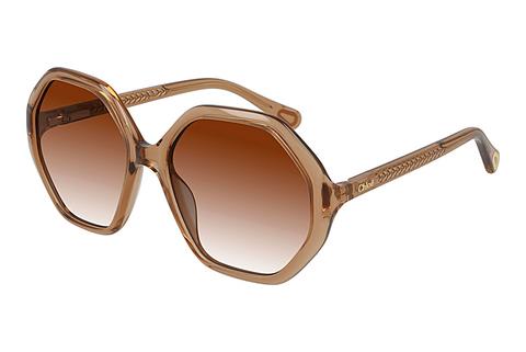 Lunettes de soleil Chloé CC0004S 002