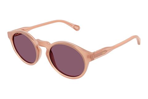 Saulesbrilles Chloé CC0014S 002