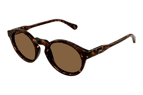 Sonnenbrille Chloé CC0014S 006