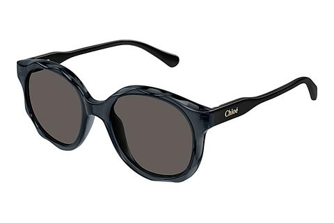 Lunettes de soleil Chloé CC0019S 001