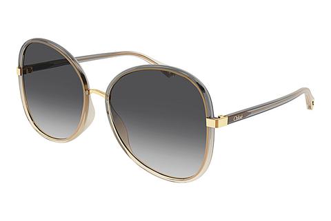 Saulesbrilles Chloé CH0030S 001