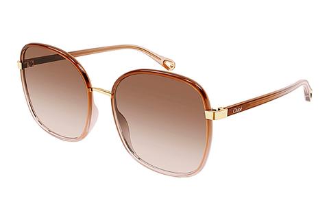 Lunettes de soleil Chloé CH0031S 007