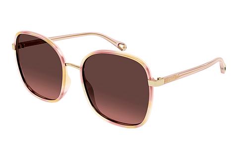 Lunettes de soleil Chloé CH0031S 013