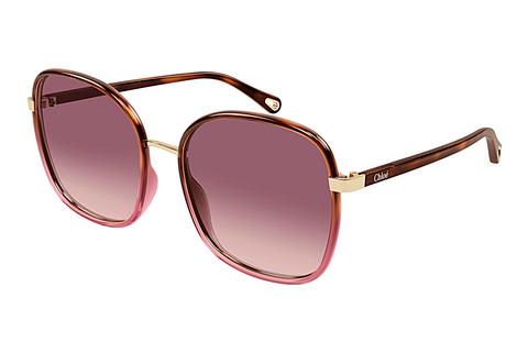 Lunettes de soleil Chloé CH0031S 018