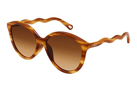 Lunettes de soleil Chloé CH0087S 002