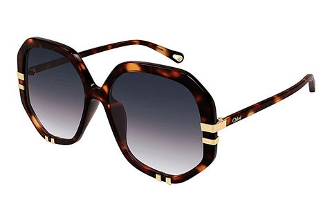 Sonnenbrille Chloé CH0105S 004