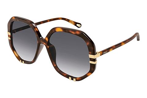 Sonnenbrille Chloé CH0105S 007