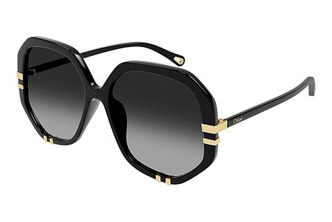 Sonnenbrille Chloé CH0105S 008