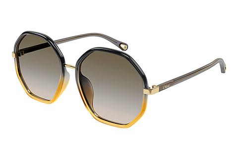 Saulesbrilles Chloé CH0133SA 005