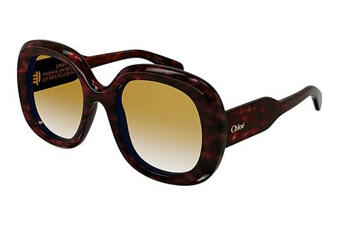 Sonnenbrille Chloé CH0153S 002