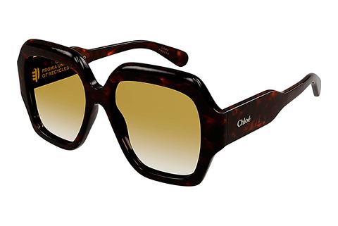 Sonnenbrille Chloé CH0154S 002