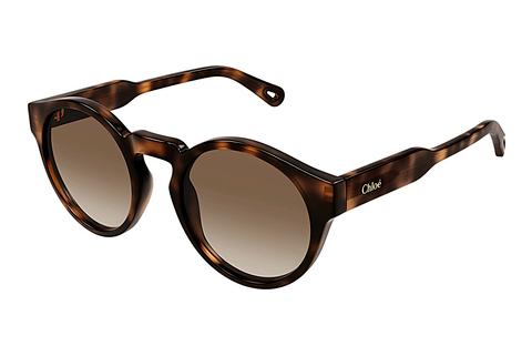 Ophthalmic Glasses Chloé CH0158S 002