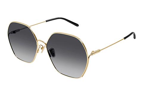 Sonnenbrille Chloé CH0169SA 001