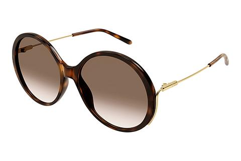 Saulesbrilles Chloé CH0171S 002