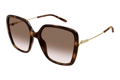 Sonnenbrille Chloé CH0173S 002