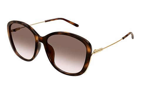 Sonnenbrille Chloé CH0175SK 002