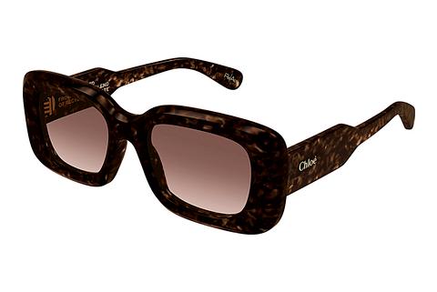 Saulesbrilles Chloé CH0188S 002