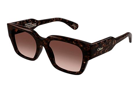 Sonnenbrille Chloé CH0190S 002