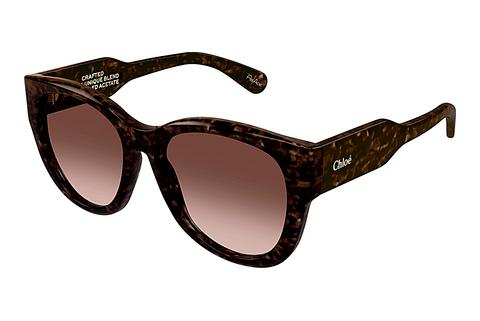 Lunettes de soleil Chloé CH0192S 002