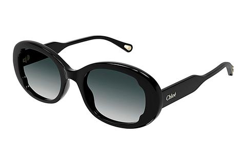 Sonnenbrille Chloé CH0197S 001