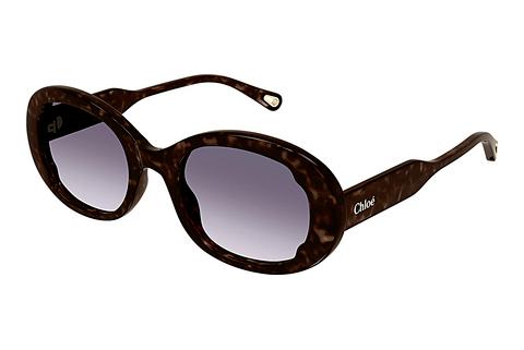 Ophthalmic Glasses Chloé CH0197S 002