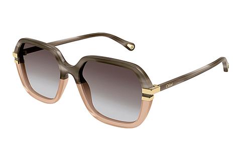 Sonnenbrille Chloé CH0204S 004