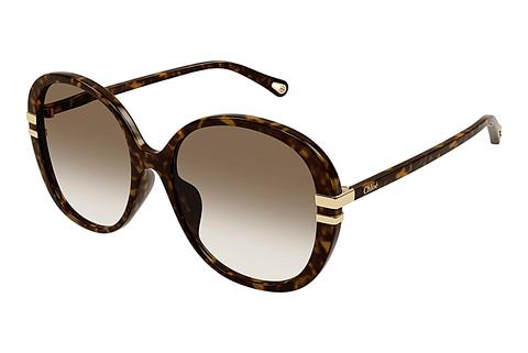 Ophthalmic Glasses Chloé CH0207SK 002