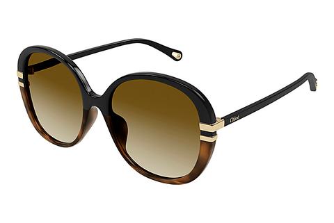 Sonnenbrille Chloé CH0207SK 003