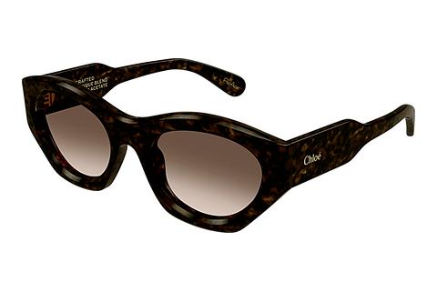 Sonnenbrille Chloé CH0220S 002