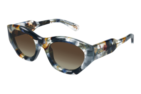 Ophthalmic Glasses Chloé CH0220S 017