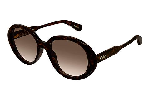 Sonnenbrille Chloé CH0221S 002