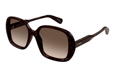 Saulesbrilles Chloé CH0222S 002