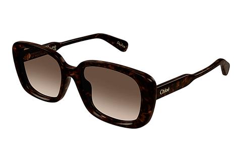 Sonnenbrille Chloé CH0225SK 002