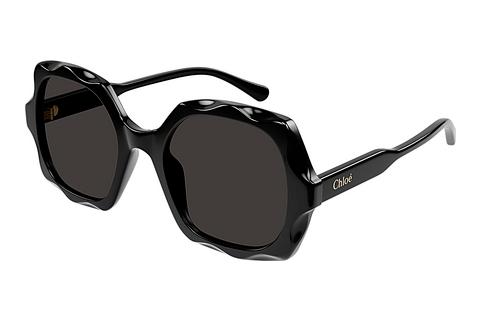 Saulesbrilles Chloé CH0226S 005