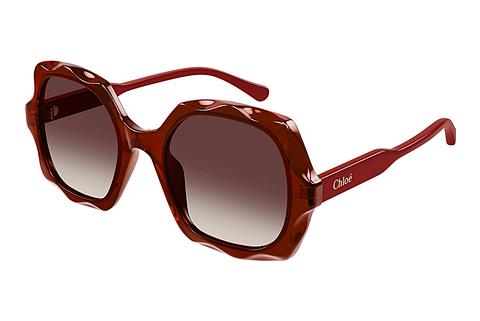 Solbriller Chloé CH0226S 006