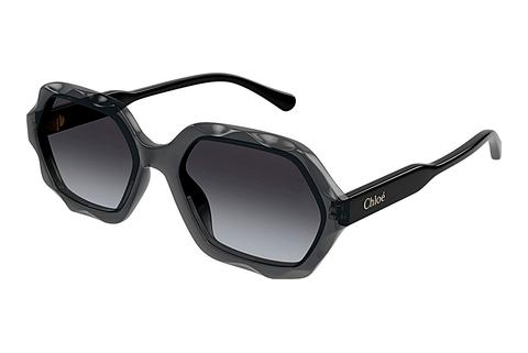 Saulesbrilles Chloé CH0227S 001