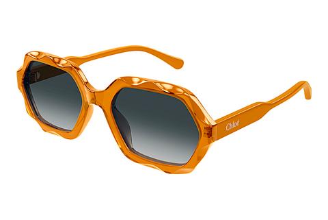 Sonnenbrille Chloé CH0227S 004