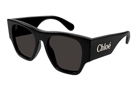 Akiniai nuo saulės Chloé CH0233S 001