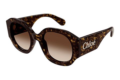 Saulesbrilles Chloé CH0234S 002